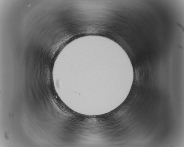 X0000103500588200810241127