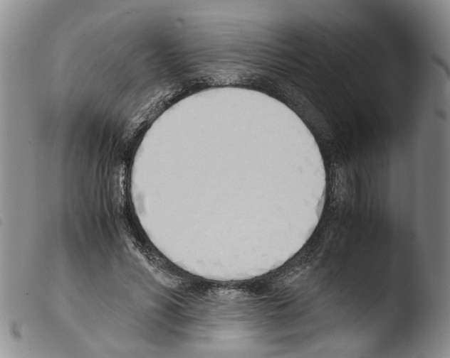 X0000103500590200810241127