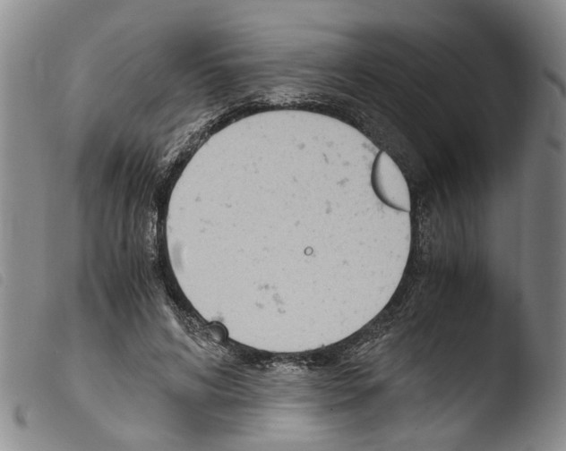 X0000103500592200810241126