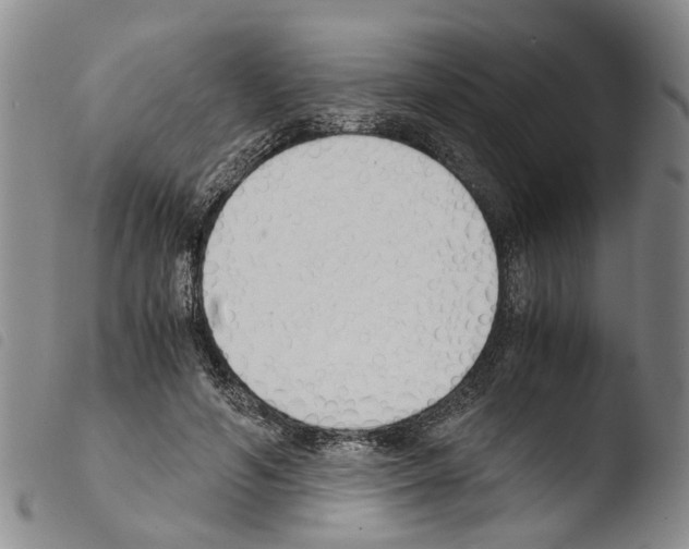 X0000103500594200810241126