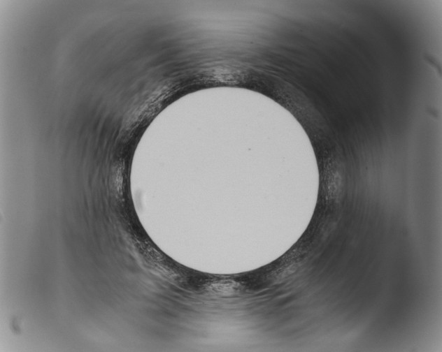 X0000103500595200810241126