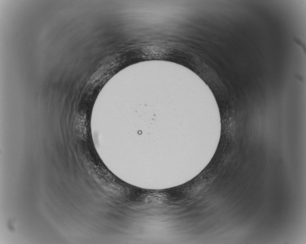 X0000103500599200810241126