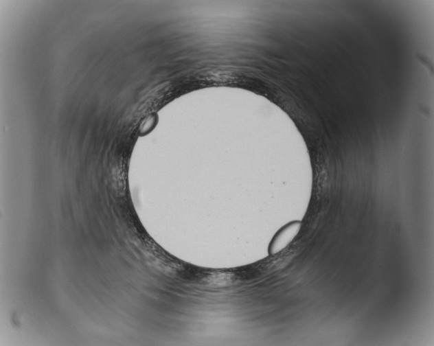 X0000103500609200810241126