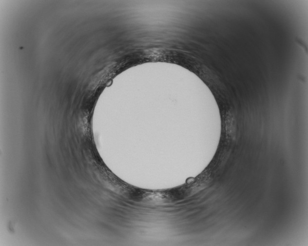 X0000103500611200810241126