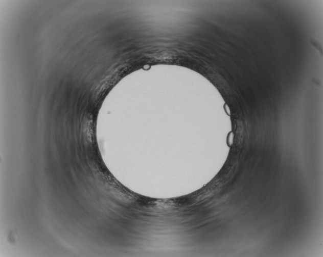 X0000103500612200810241126