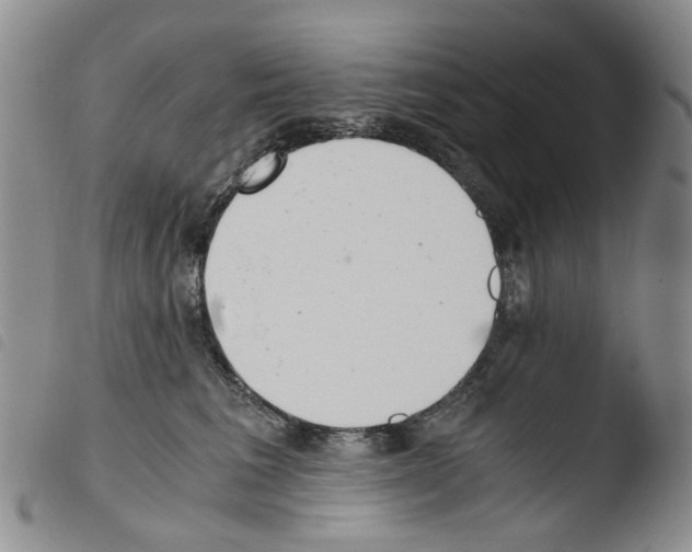 X0000103500613200810241126