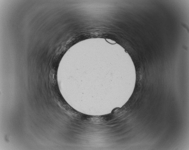 X0000103500615200810241126