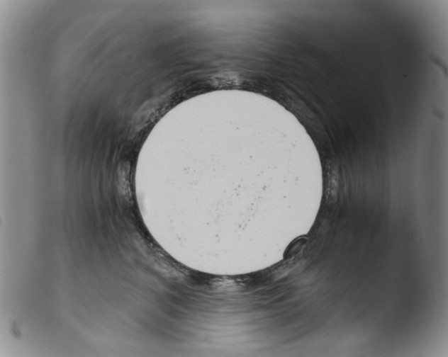 X0000103500616200810241126