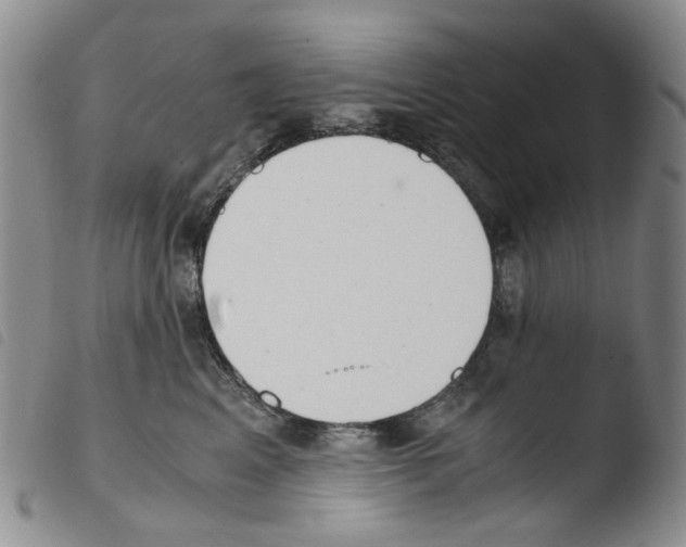 X0000103500617200810241126