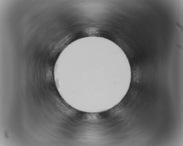 X0000103500618200810241126