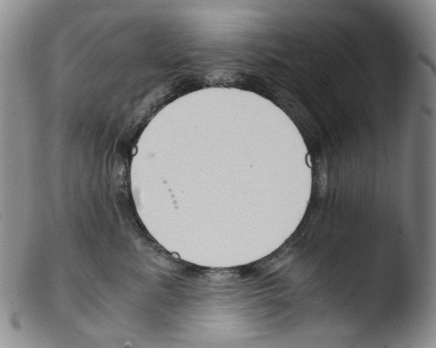 X0000103500619200810241126