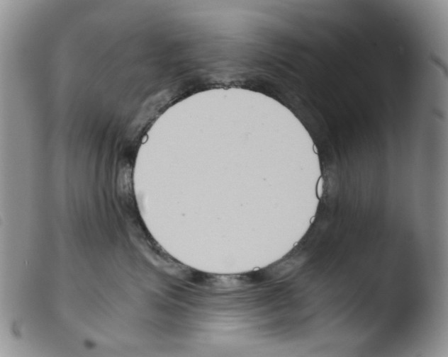 X0000103500623200810241126