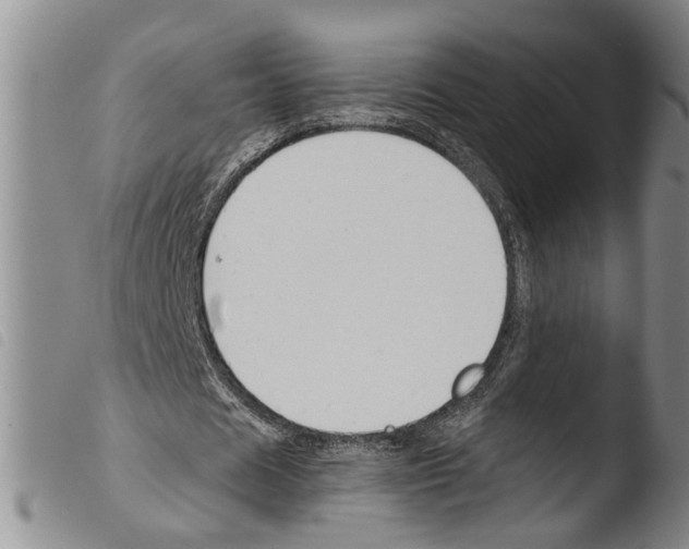 X0000103500625200810241125