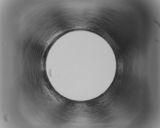 X0000103500628200810241125