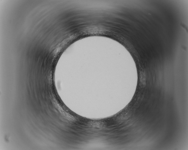 X0000103500629200810241125