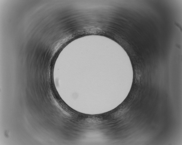 X0000103500630200810241125