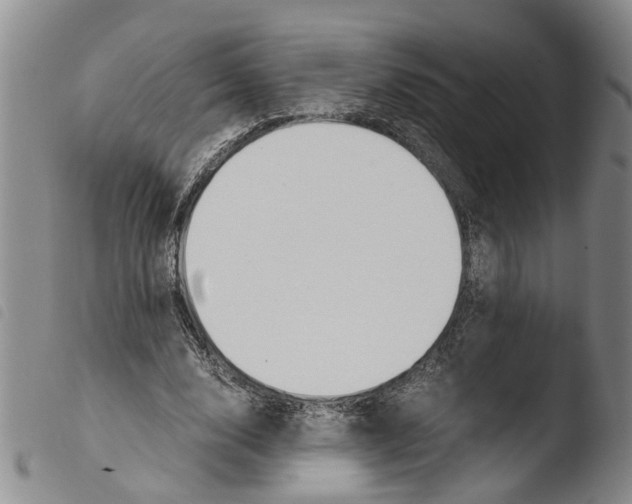 X0000103500632200810241125