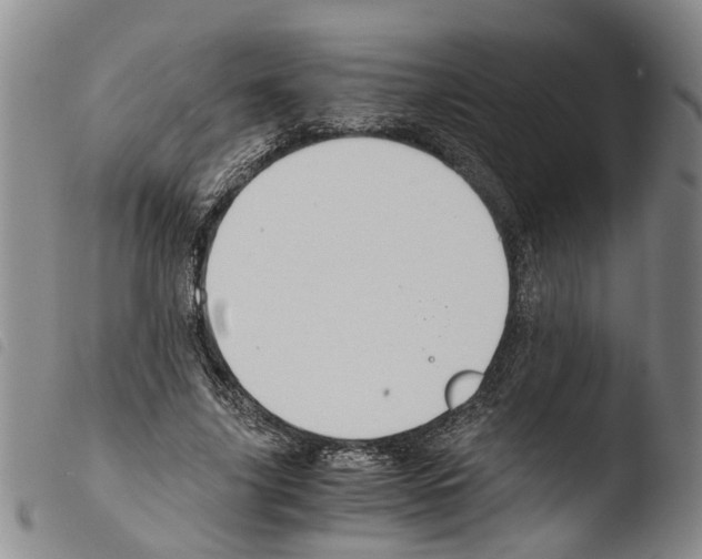 X0000103500635200810241126