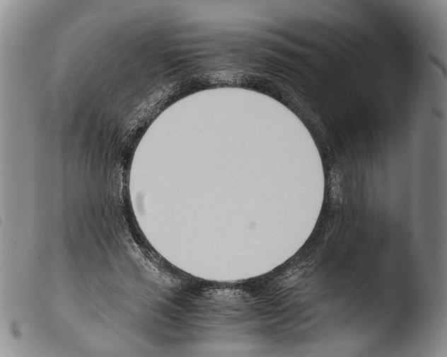 X0000103500637200810241126