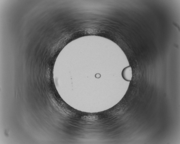 X0000103500639200810241126