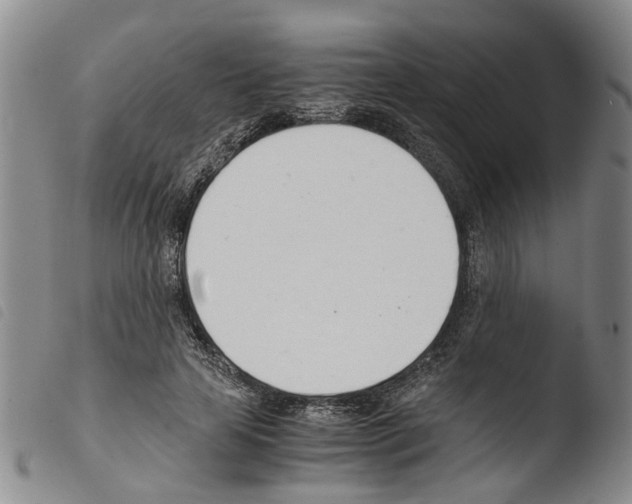 X0000103500641200810241126