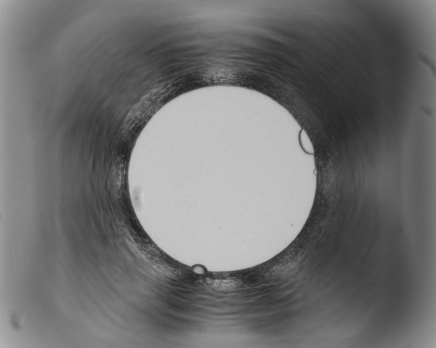 X0000103500645200810241126