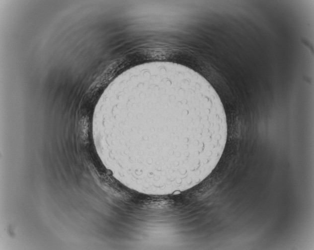 X0000103500646200810241126