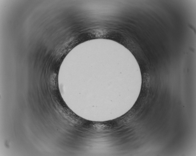 X0000103500650200810241126