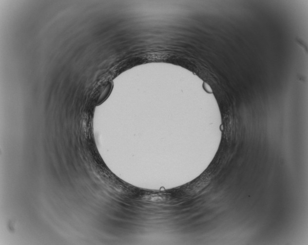 X0000103500655200810241126