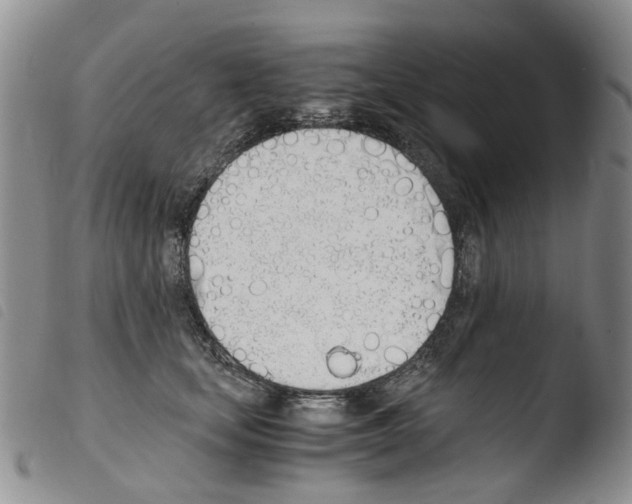 X0000103500659200810241126