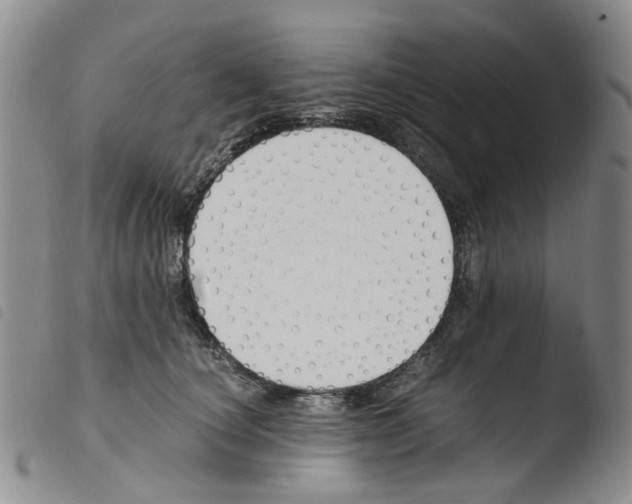 X0000103500660200810241126