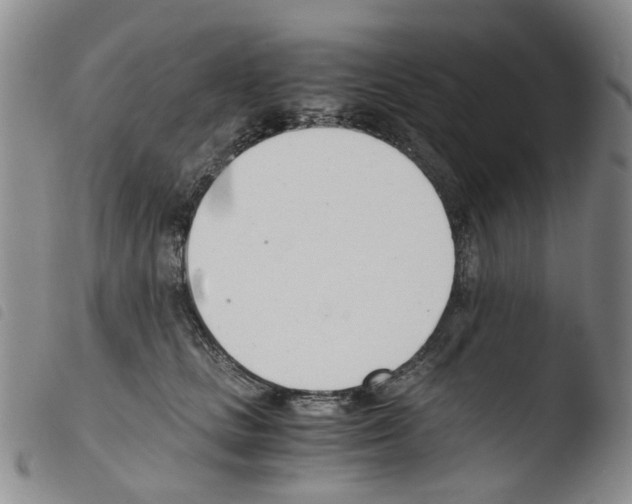 X0000103500661200810241126