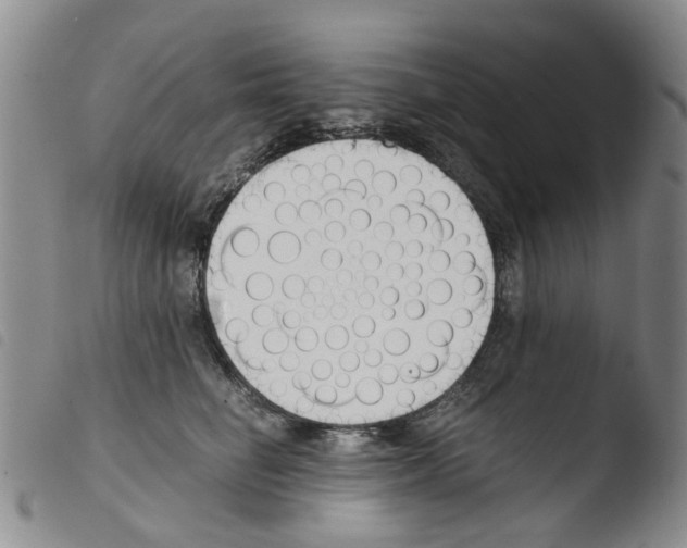 X0000103500662200810241126