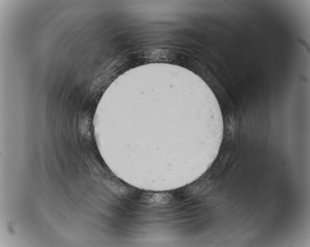 X0000103500663200810241126