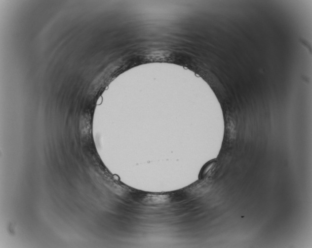 X0000103500665200810241126