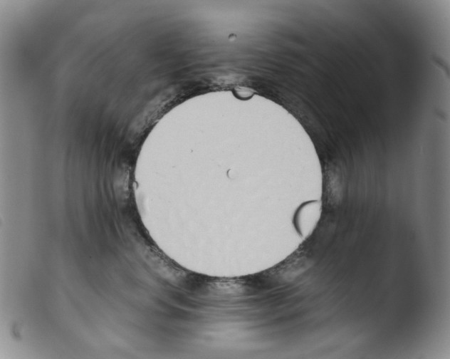 X0000103500668200810241126