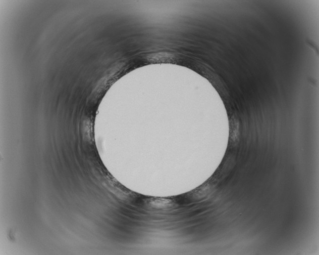 X0000103500669200810241126