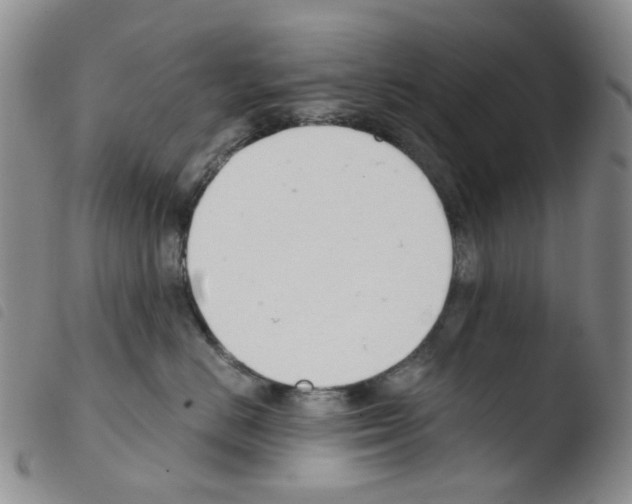 X0000103500670200810241126