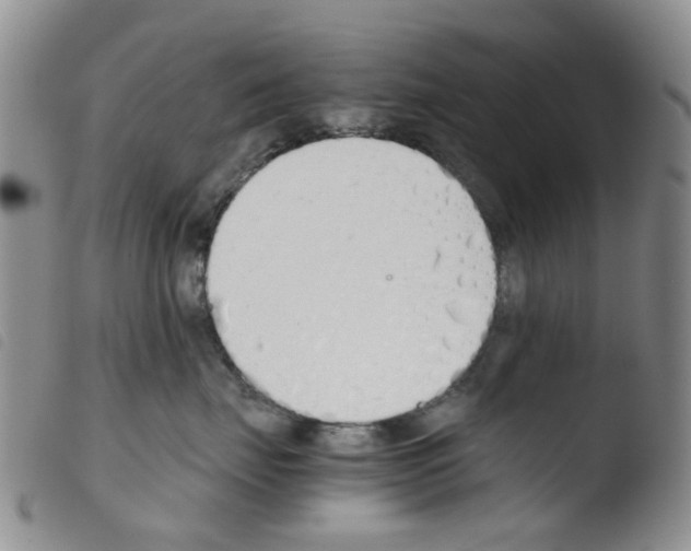 X0000103500671200810241126