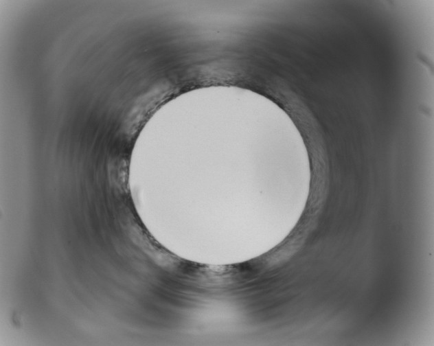 X0000103500672200810241126