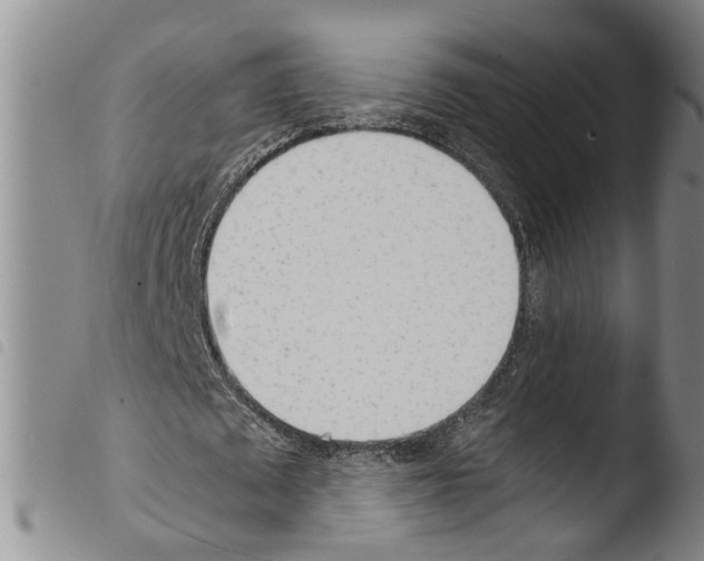 X0000103500673200810241125