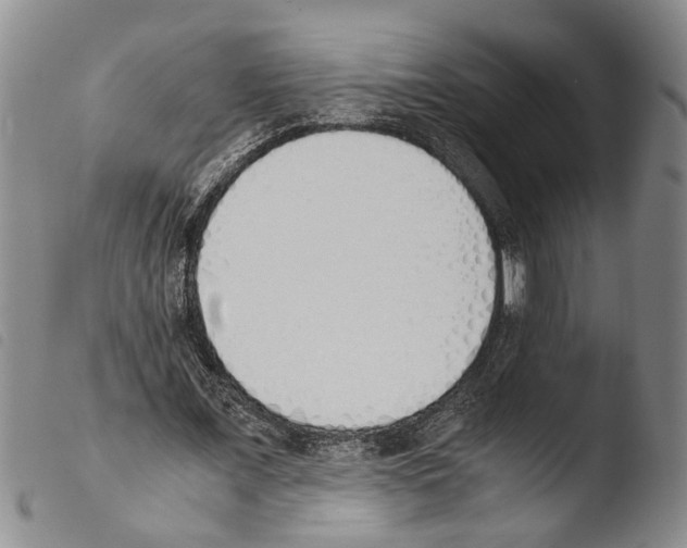 X0000103500675200810241125