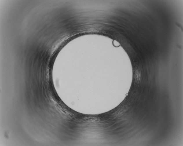 X0000103500676200810241125