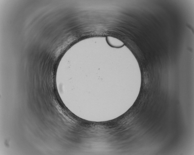 X0000103500677200810241125