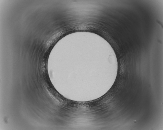 X0000103500683200810241125