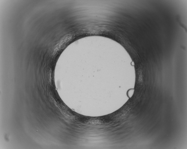 X0000103500685200810241125