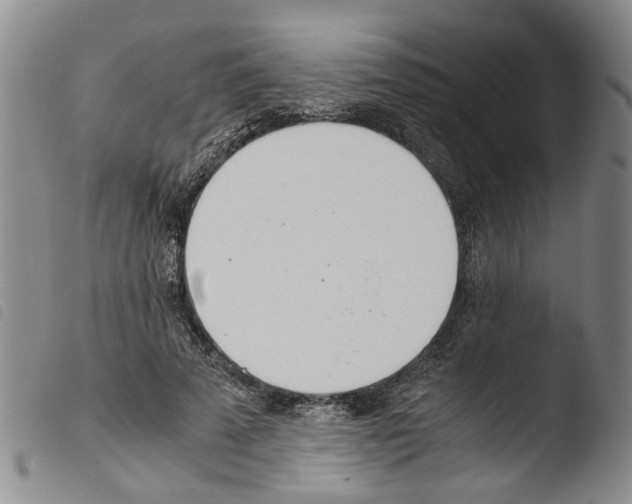 X0000103500689200810241125