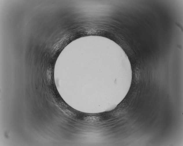 X0000103500691200810241125