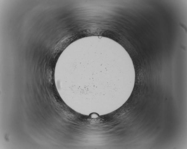 X0000103500693200810241125