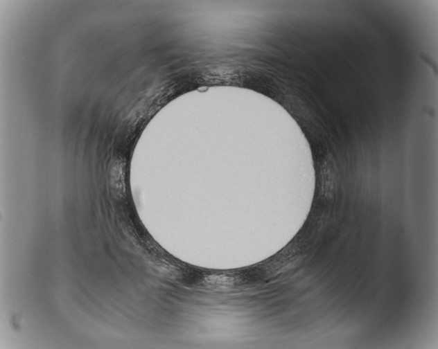 X0000103500699200810241125